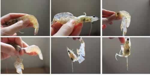 ˮ��Ϻ�Ȼʵ�����