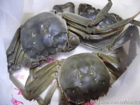 面拖蟹的做法