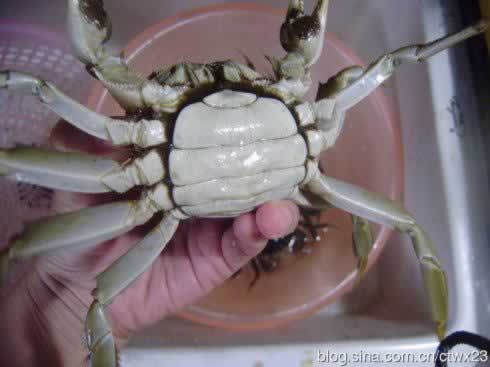 ����з������