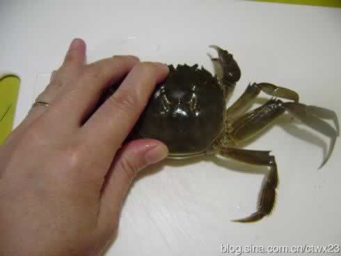 ����з������