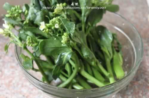 �������ͳ�����������