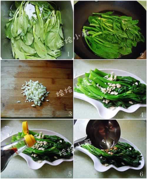 ���Ʋ��ĵ�����