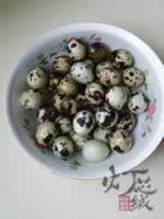 �ݽ����ȵ�������