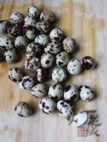 �ݽ����ȵ�������