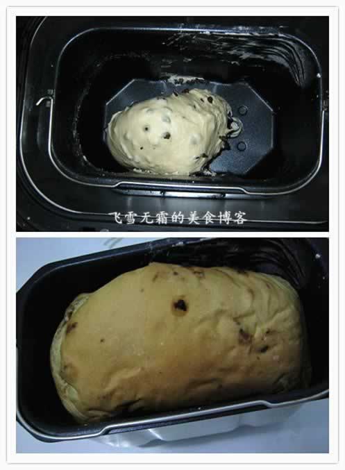 ��������֥�����������ܲ�������ɿ��������������