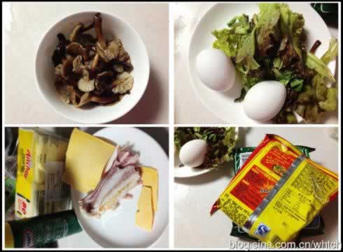 Ӫ�������������