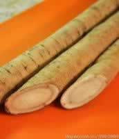 ɳ��ţ�������