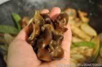 ɳ��ţ�������