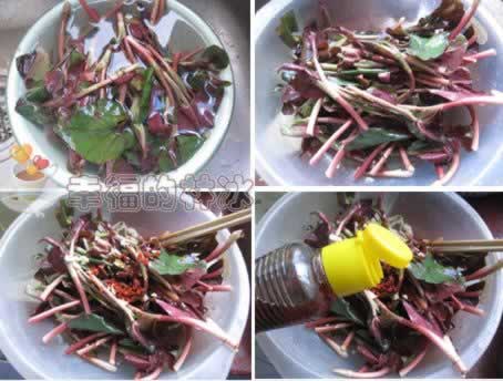 凉拌鱼腥草叶的做法