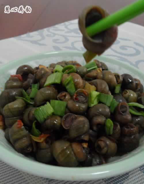 ��������ʨ������