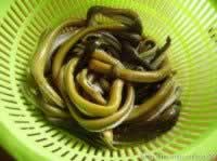 ��������������