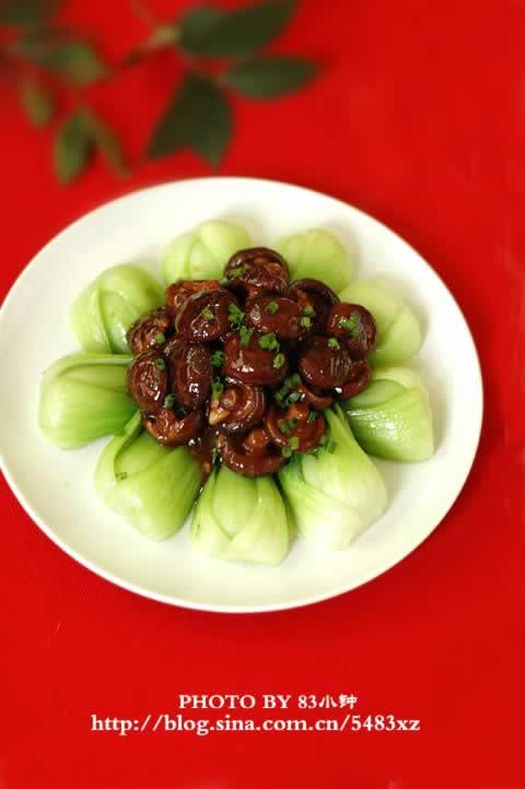 �㹽�ǲ��ĵ�����