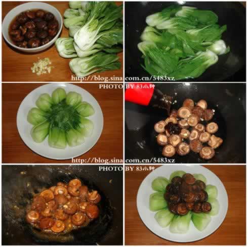 �㹽�ǲ��ĵ�����