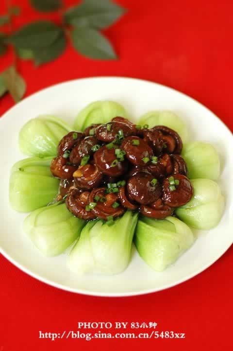 �㹽�ǲ��ĵ�����