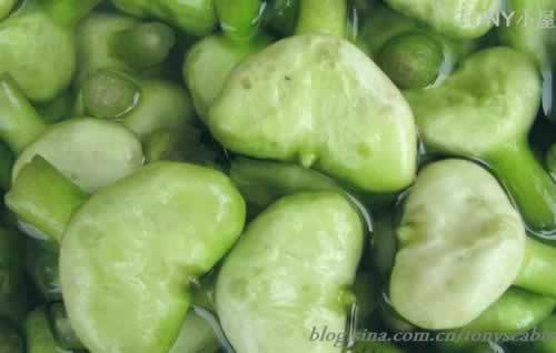 ����Ϻ�ʶ�����������