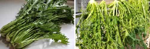 ��˵�����