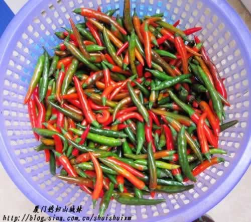 �����ݽ�������