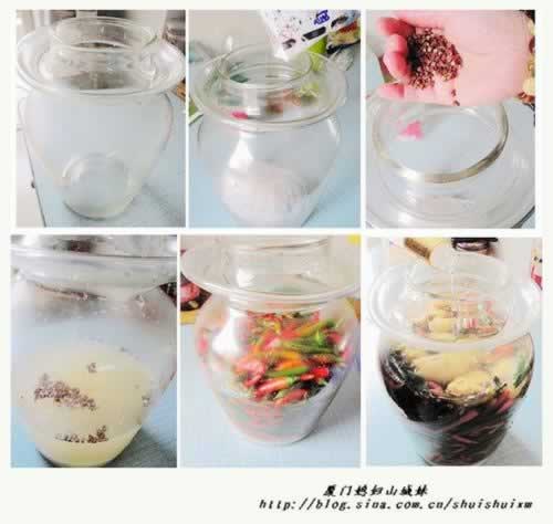 �����ݽ�������