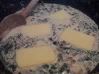 ���������Ģ���׽�ͨ�۵�����