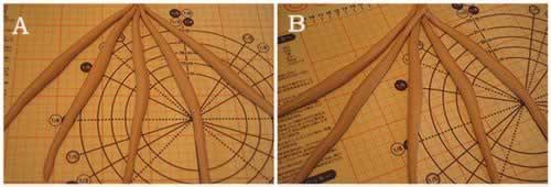 ���ʽ��Ǳ���ţ�ǰ�������