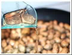 盐煮新鲜花生的做法