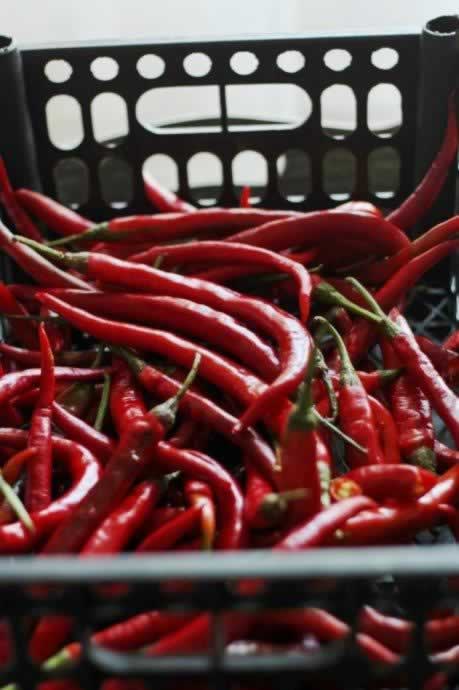 �������ض���������������