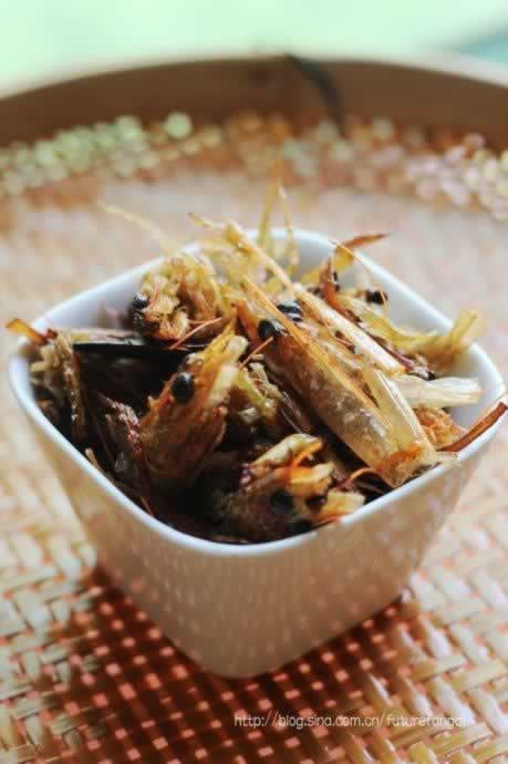 Ϻζ�ͽ�Ģ��������