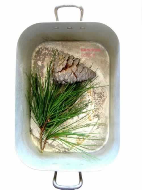 ���㿪ʼ���ƽ�������������