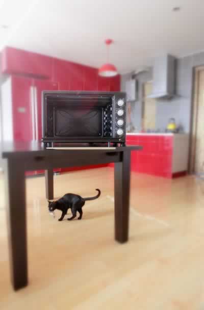 ��ͥ������������