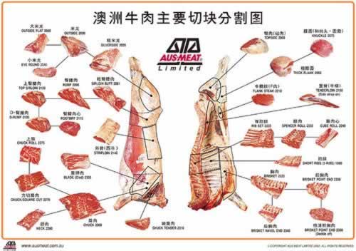 ��������ţ����������