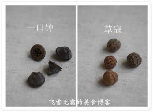 ������ţ�������