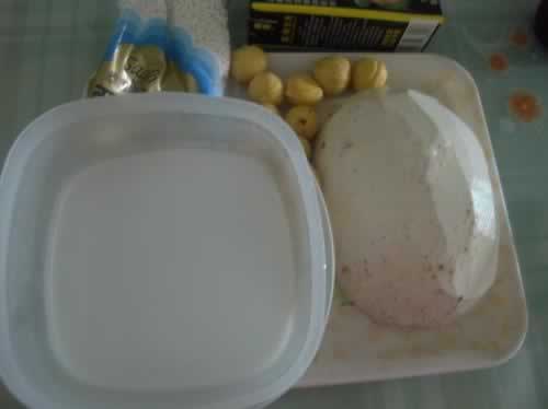 ��������Ҭ֭����¶������