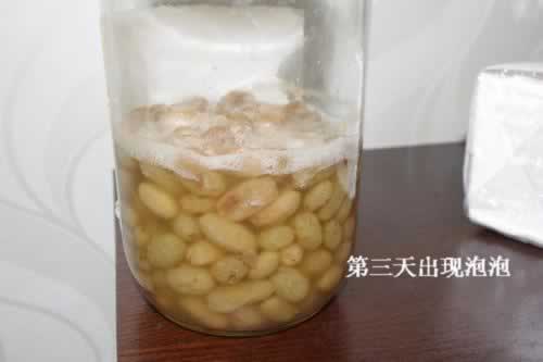 ���Ѹ���Ȼ��������������