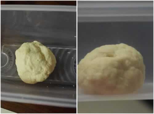 ���Ѹ���Ȼ��������������