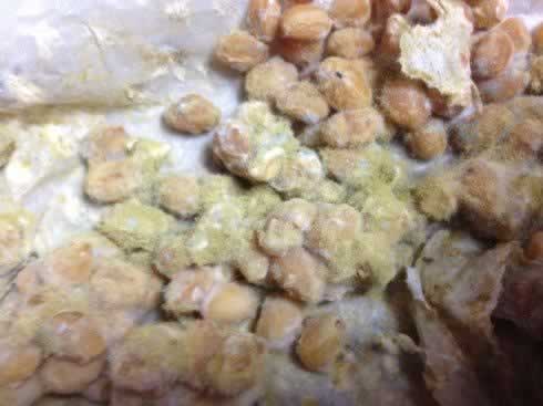 ��ͥ����󽴵�����