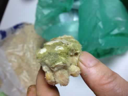 ��ͥ����󽴵�����