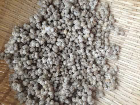 ��ͥ����󽴵�����