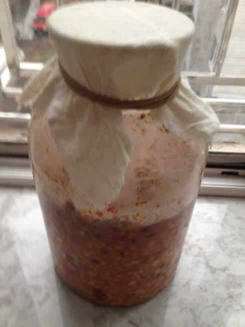 ��ͥ����󽴵�����