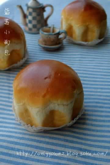 ��ݮС���������