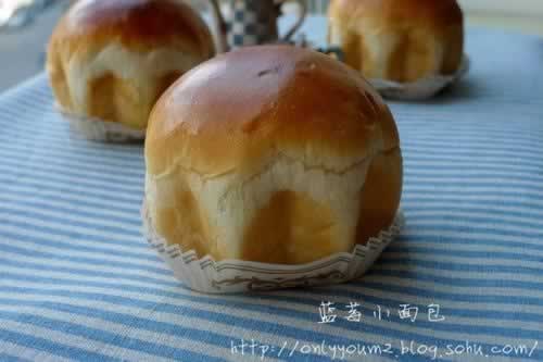 ��ݮС���������