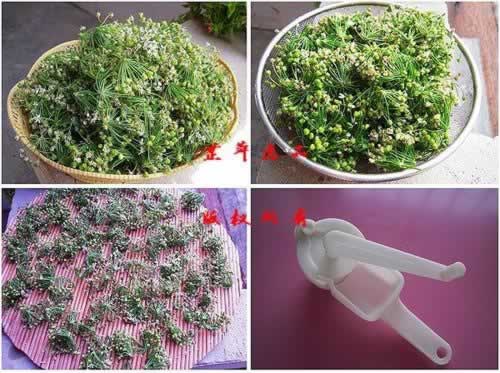 �»���������