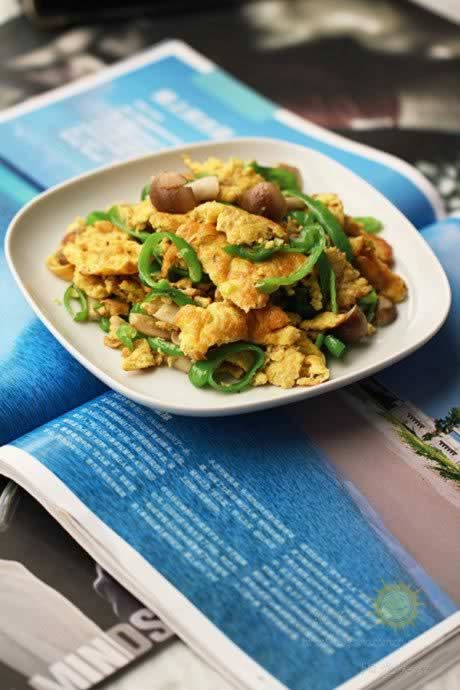 ����������񹽵�����