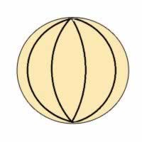 ���������۵�����