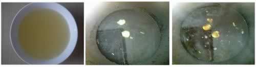 һƷ��ţ�����ҵ�����