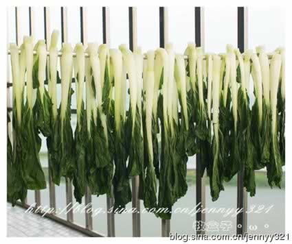 �˸���������չ�������