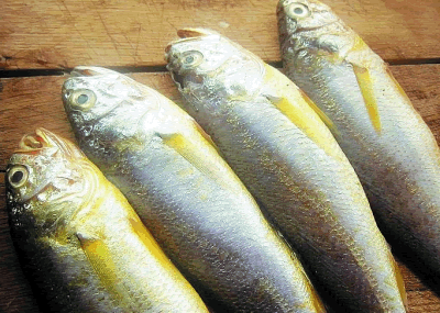 �ҳ����ƹ��������