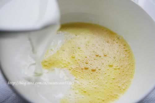 ����â������������