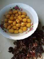 ��������������