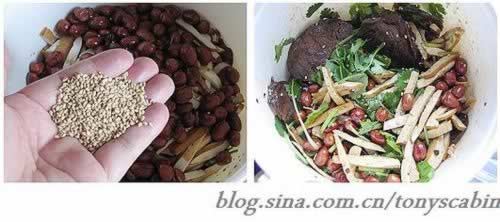 ��������ţ�������