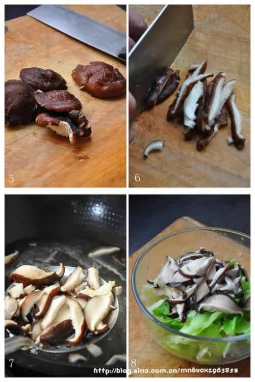 ������˵�����